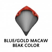 Blue/Gold Macaw