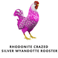 Rhodonite Crazed Silver Wyandotte Rooster