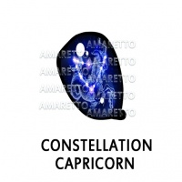 Constellation - Capricorn January 1 -January 31, 2021