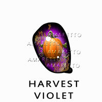 Harvest Violet