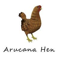 Arucana Hen