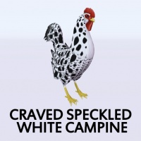 Craved Speckled White Campine