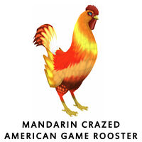 Mandarin Crazed American Game Rooster