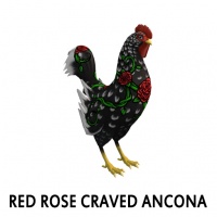 Red Rose Craved Ancona Rooster