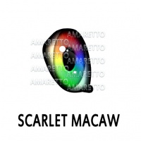 Scarlet Macaw