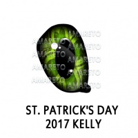 St. Patrick's Day 2017 - Kelly