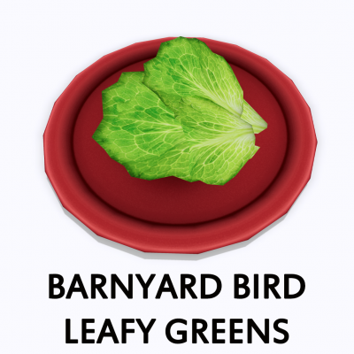 Barnyard Bird Leafy Greens