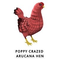 Poppy Crazed Arucana Hen