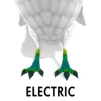 Electric