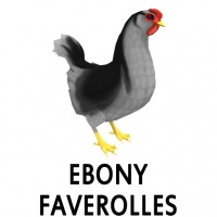 Ebony Faverolles Hen